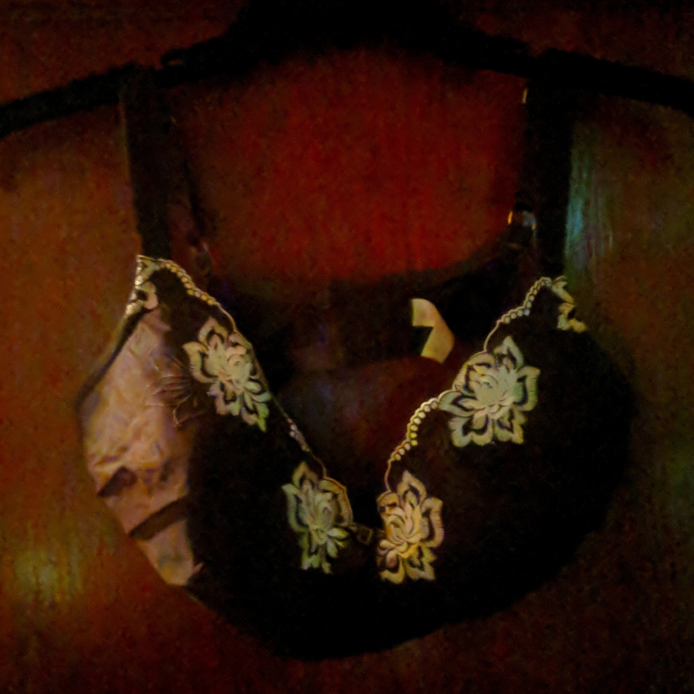 Bra 40d brown,white embroidery on cups.curvation brand. No wire.